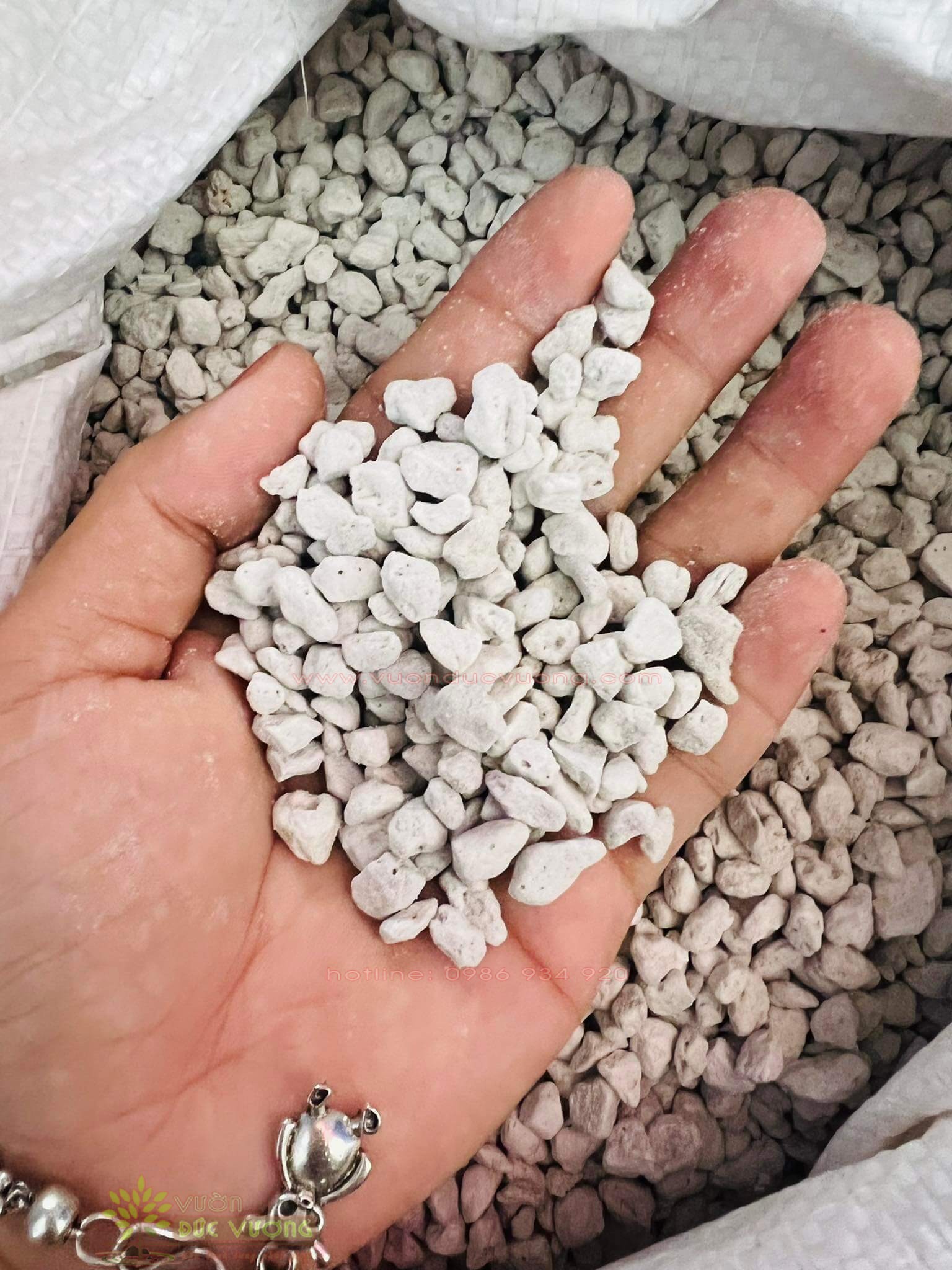 SỎI TRẢI NỀN - giải pháp trang trí cảnh quan 273045853 999189814041881 8266381914927337107 n 1 600x800 - SỎI TRẢI NỀN - giải pháp trang trí cảnh quan