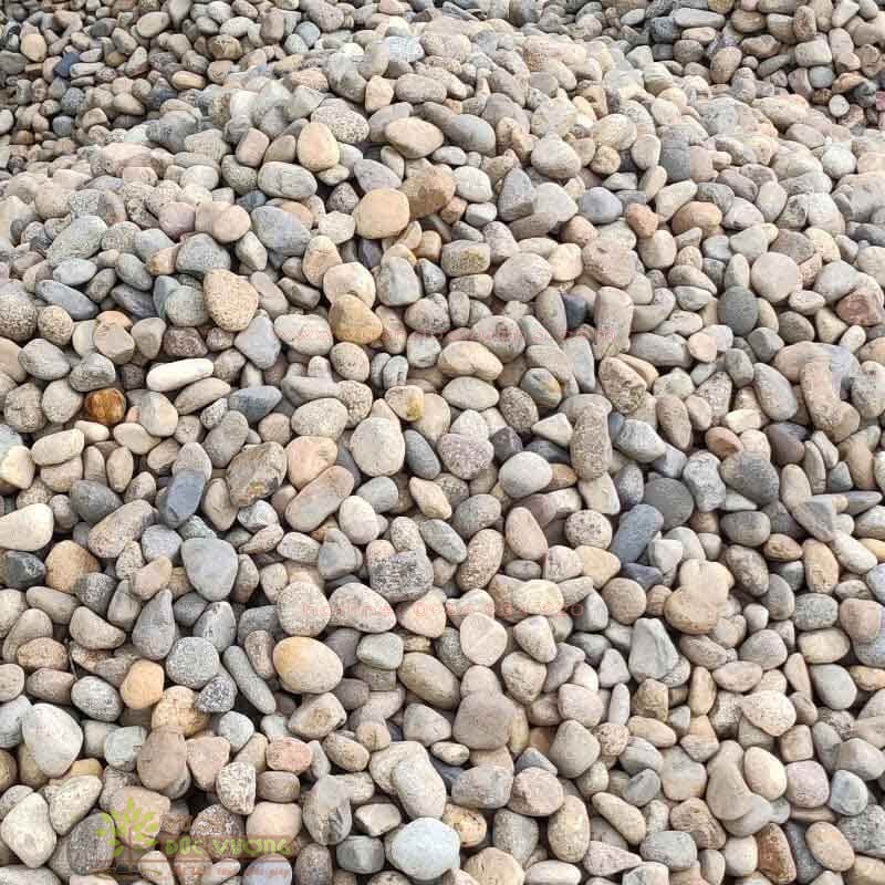 SỎI TRẢI NỀN - giải pháp trang trí cảnh quan soi cuoi nhieu mau.NT 1 600x600 - SỎI TRẢI NỀN - giải pháp trang trí cảnh quan