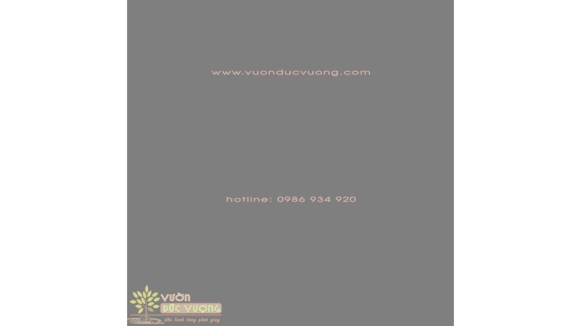 SỎI TRẢI NỀN - giải pháp trang trí cảnh quan thiết kế mẫu ảnh bìa 18 1 1 600x338 - SỎI TRẢI NỀN - giải pháp trang trí cảnh quan