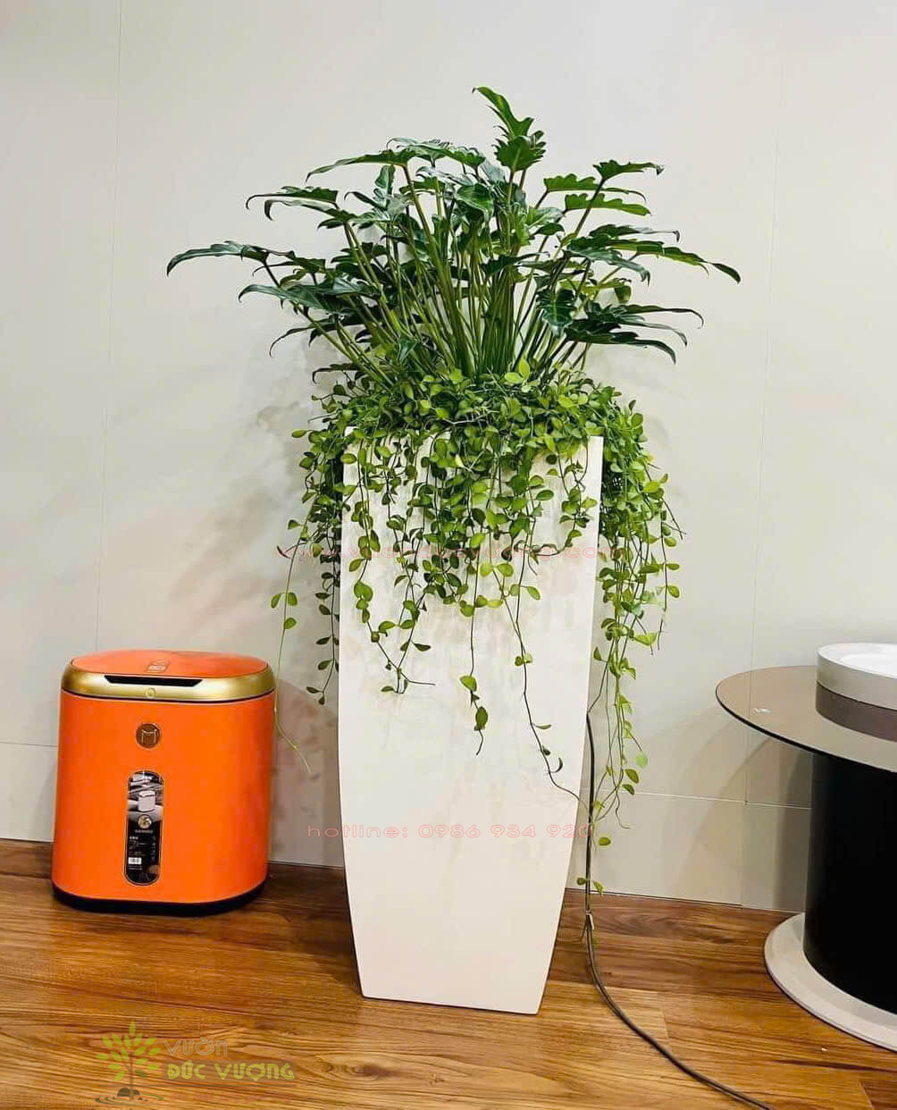 CHẬU TRỒNG CÂY COMPOSITE CHẬU TRỒNG CÂY COMPOSITE 1 600x742 - CHẬU TRỒNG CÂY COMPOSITE