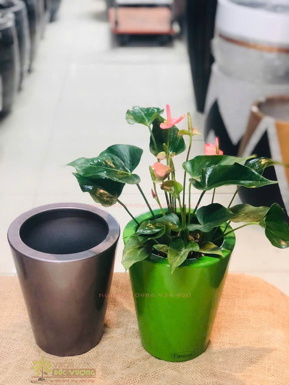 CHẬU TRỒNG CÂY COMPOSITE CHẬU TRỒNG CÂY COMPOSITE 11 600x800 - CHẬU TRỒNG CÂY COMPOSITE