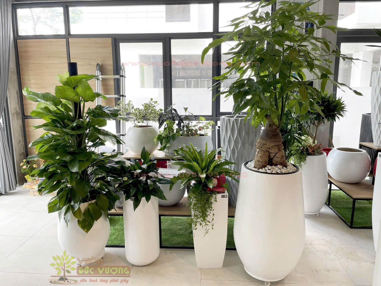 CHẬU TRỒNG CÂY COMPOSITE CHẬU TRỒNG CÂY COMPOSITE 3 600x450 - CHẬU TRỒNG CÂY COMPOSITE