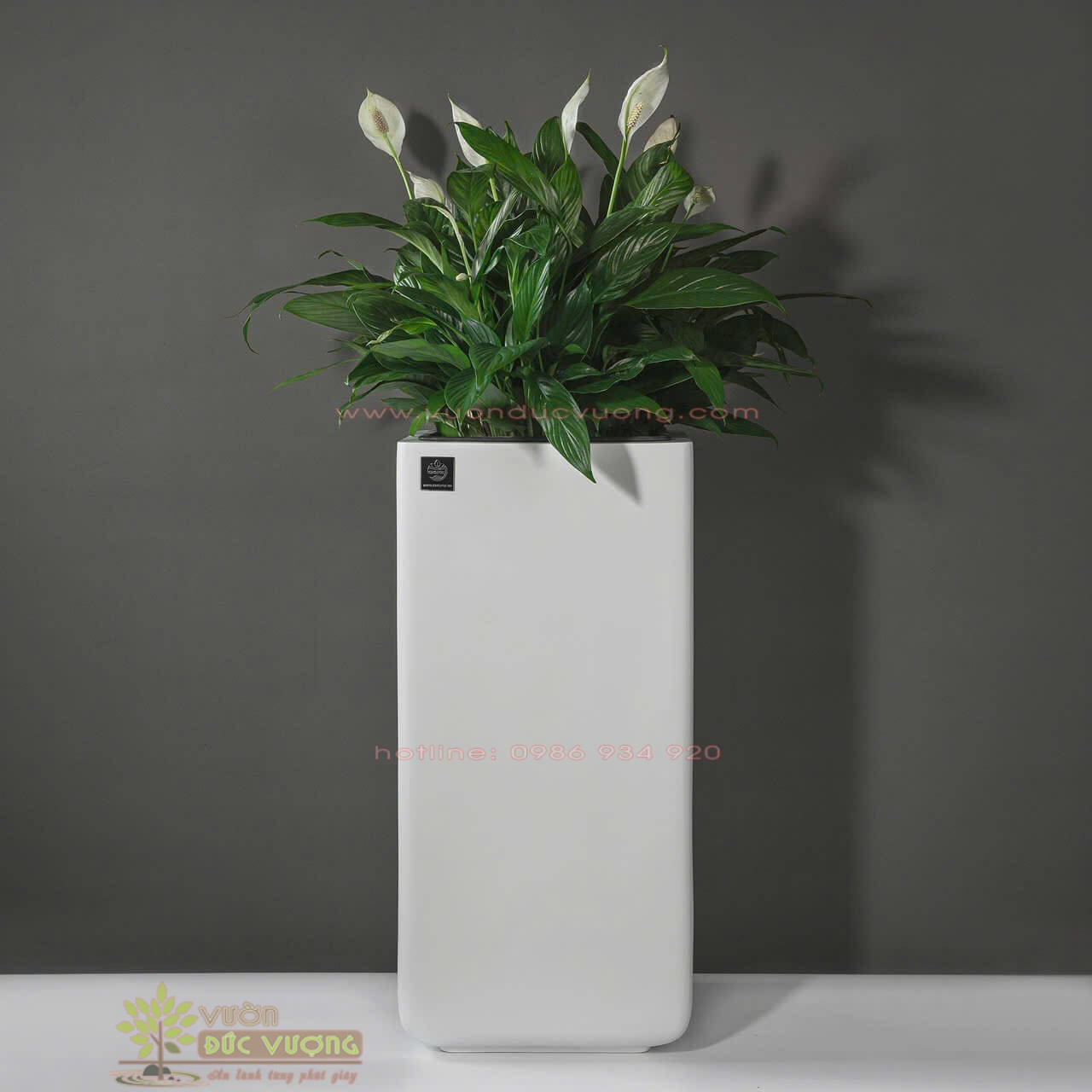 CHẬU TRỒNG CÂY COMPOSITE CHẬU TRỒNG CÂY COMPOSITE 5 600x600 - CHẬU TRỒNG CÂY COMPOSITE