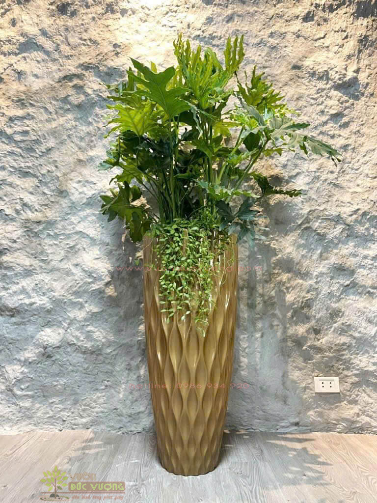 CHẬU TRỒNG CÂY COMPOSITE CHẬU TRỒNG CÂY COMPOSITE 6 600x800 - CHẬU TRỒNG CÂY COMPOSITE