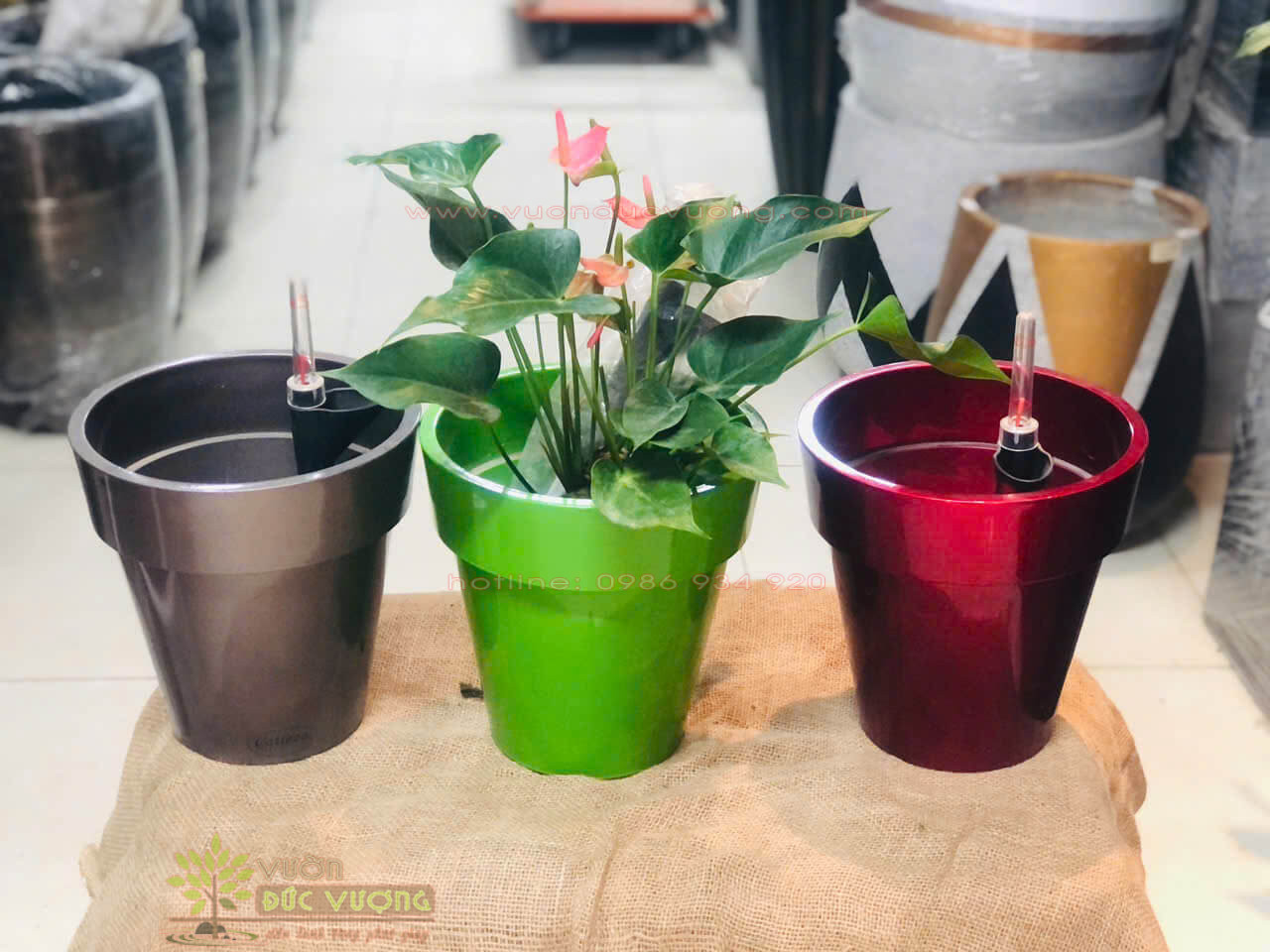 CHẬU TRỒNG CÂY COMPOSITE CHẬU TRỒNG CÂY COMPOSITE 7 600x450 - CHẬU TRỒNG CÂY COMPOSITE