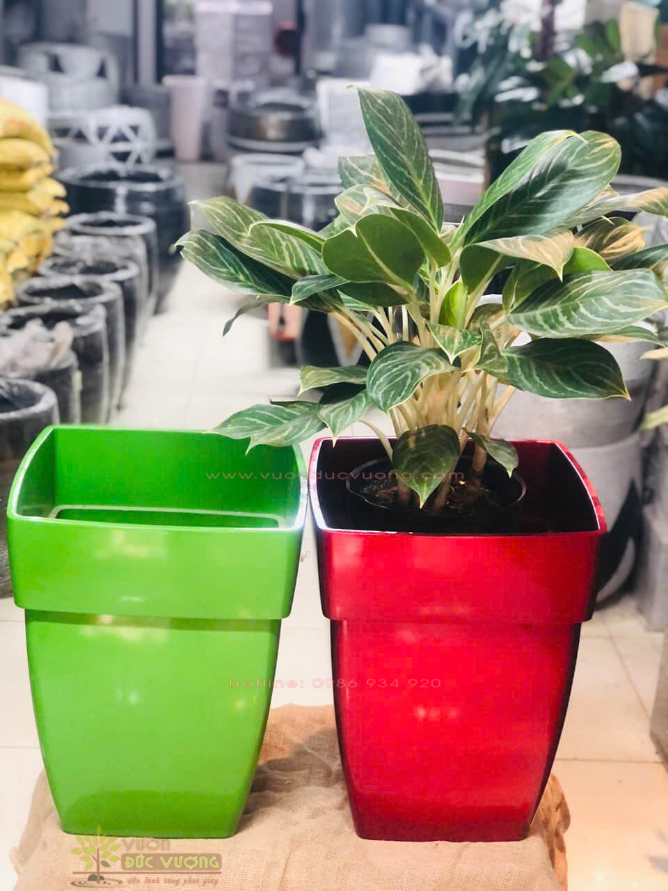 CHẬU TRỒNG CÂY COMPOSITE CHẬU TRỒNG CÂY COMPOSITE 8 600x800 - CHẬU TRỒNG CÂY COMPOSITE