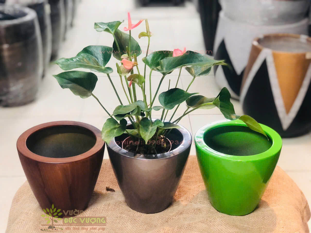 CHẬU TRỒNG CÂY COMPOSITE CHẬU TRỒNG CÂY COMPOSITE 9 600x450 - CHẬU TRỒNG CÂY COMPOSITE